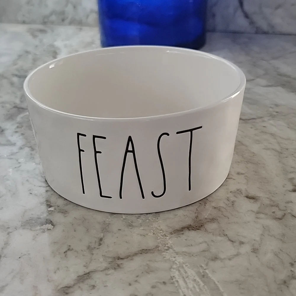Rae Dunn Artisan Collection FEAST Bowl